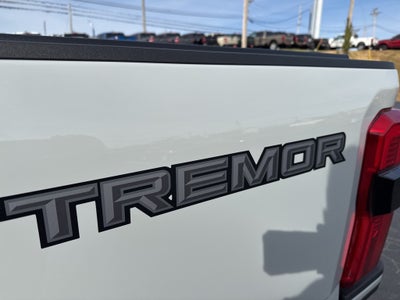 2025 Ford F-250 Platinum