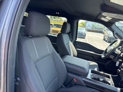 2026 Ford F-150 STX LOBO