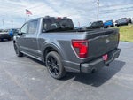 2026 Ford F-150 STX LOBO