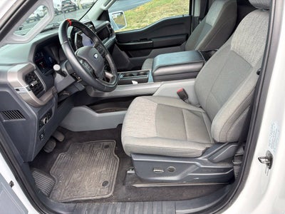 2024 Ford F-150 XL