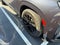 2024 Cadillac Escalade ESV 4WD Sport